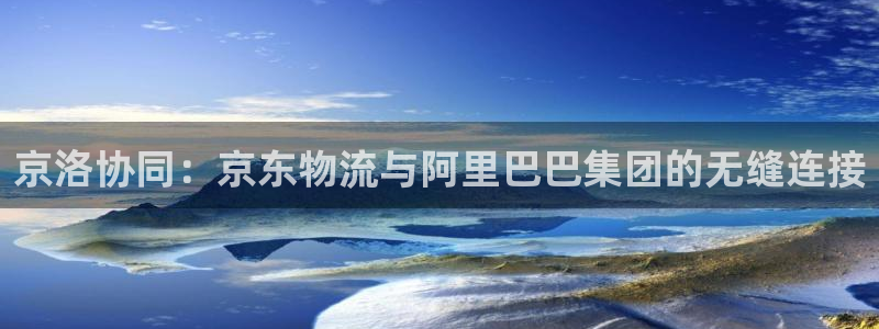 旺财28客服一直不回消息怎么办：京洛