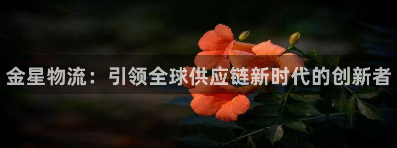 旺财28官网下载加拿大：金星物流：引