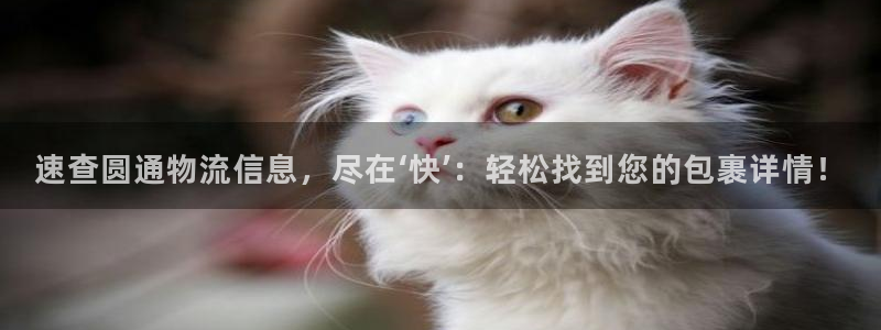 旺财28官网入口2024：速查圆通物