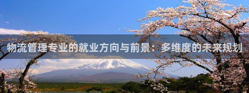 旺财28p图上分下款通道：物流管理专