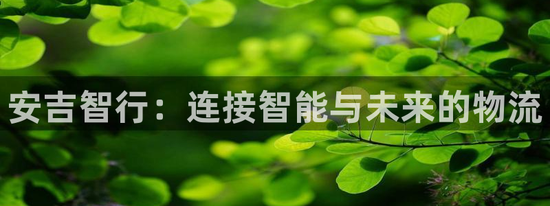 旺财28反水什么时候到：安吉智行：连
