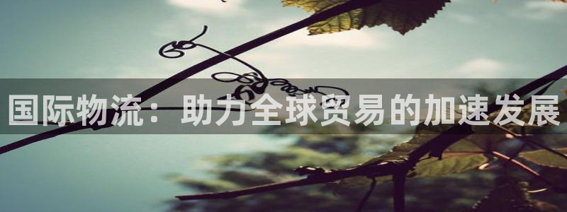 旺财28链接：国际物流：助力全球贸易