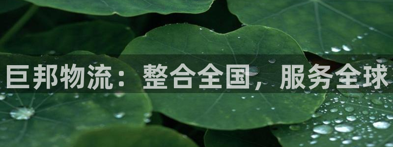 旺财28黑吗：巨邦物流：整合全国，服