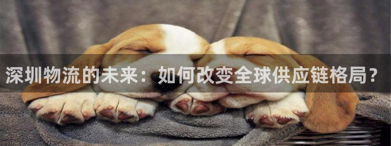 旺财28比特28真实吗：深圳物流的未