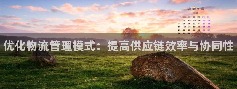 南宫旺财28官网版：优化物流管理模式
