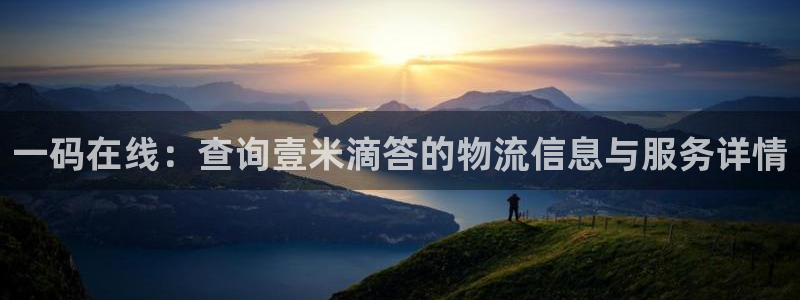 旺财28机器人是什么软件：一码在线：