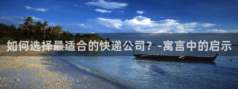 旺财28大神预测：如何选择最适合的快