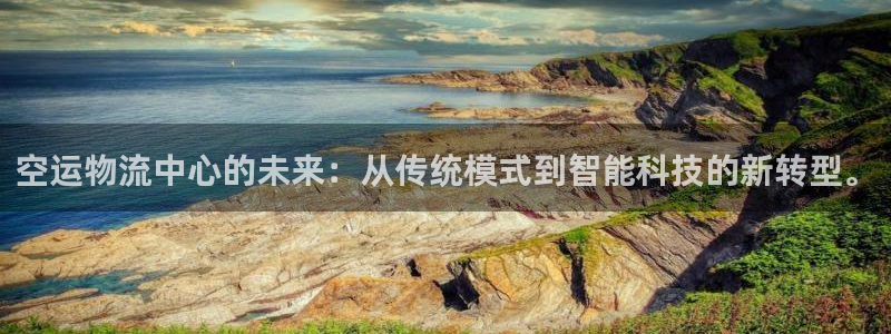 旺财28注册流程：空运物流中心的未来