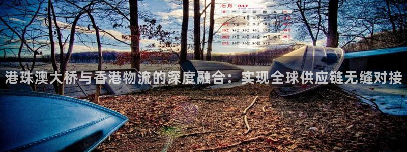 自行车旺财28是什么意思：港珠澳大桥