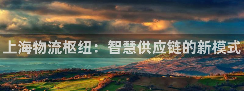 南宫旺财28官网：上海物流枢纽：智慧