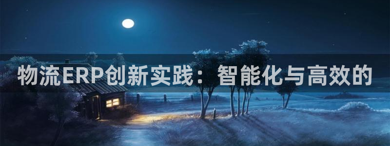 旺财28官网下载加拿大：物流ERP创