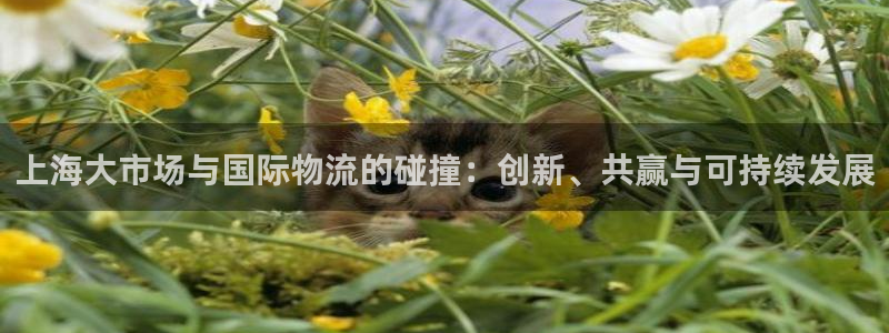 旺财28自行车搞笑图片：上海大市场与