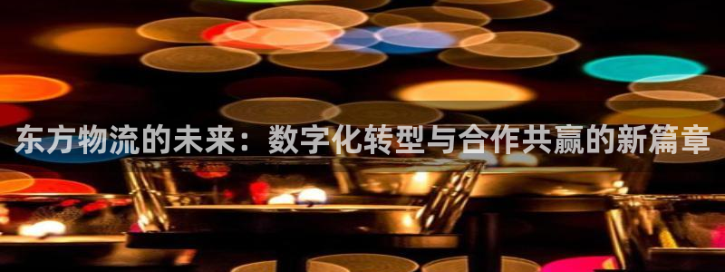 旺财28黑吗：东方物流的未来：数字化