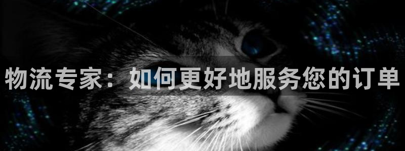 旺财28在线预测官网：物流专家：如何
