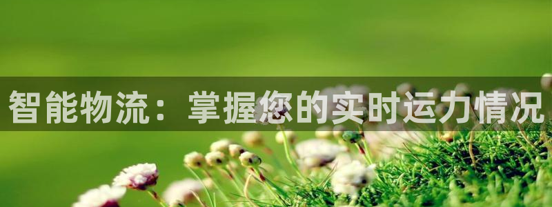 旺财28官网入口南宫：智能物流：掌握