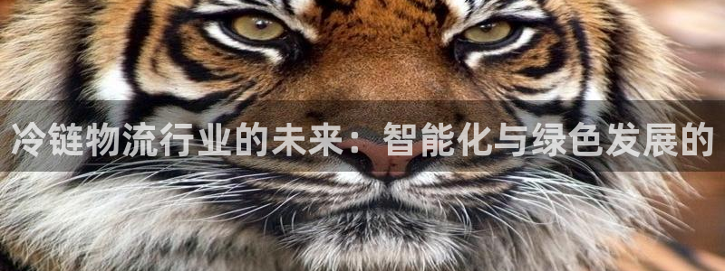 旺财28现在狂杀：冷链物流行业的未来