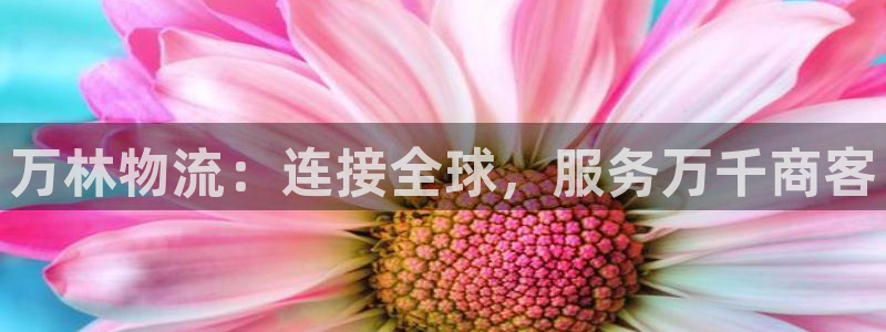 旺财28登录用户名登录不上：万林物流