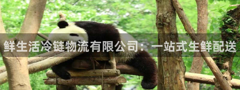 旺财28充值不到账怎么办：鲜生活冷链