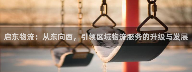 旺财28官网链接：启东物流：从东向西，引领区域物流服务的升级