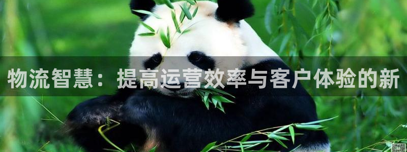 旺财28流水怎么算