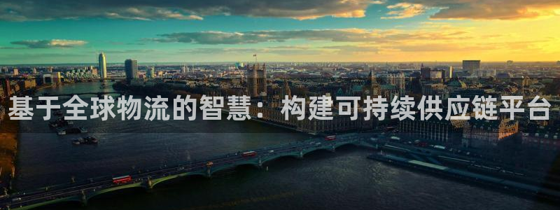 旺财28官网下载链接：基于全球物流的