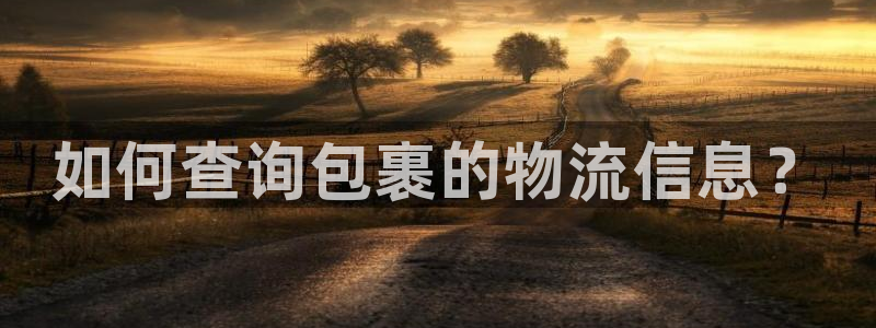旺财28加拿大预测：如何查询包裹的物