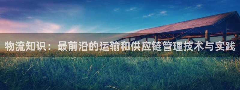 旺财28取保：物流知识：最前沿的运输和供应链管理技术与实践