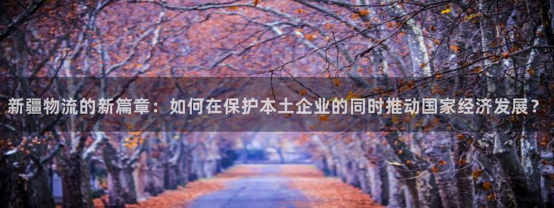 旺财28官网入口pc28：新疆物流的