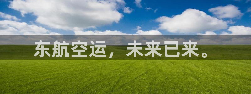 旺财28官网下载加拿大：东航空运，未