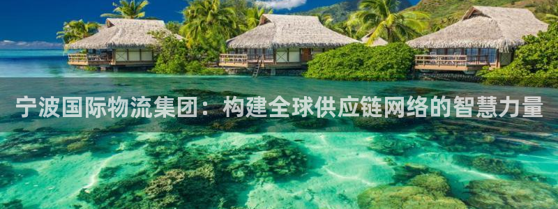 旺财28登录用户名登录不上：宁波国际