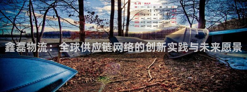 加拿大旺财28是什么：鑫磊物流：全球供应链网络的创新实践与未