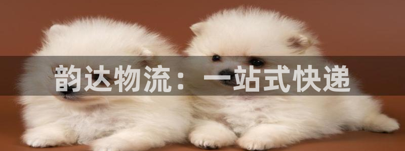 旺财28忘记账号：韵达物流：一站式快递