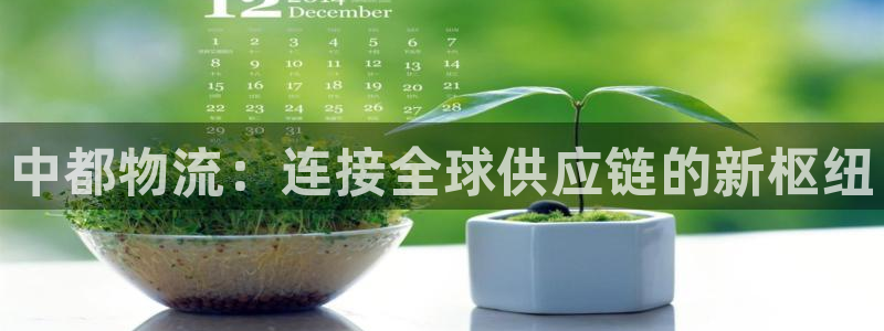 旺财28麻将：中都物流：连接全球供应链的新枢纽