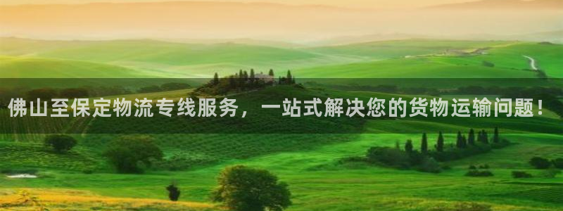 旺财28返水怎么算的：佛山至保定物流专线服务，一站式解决您的
