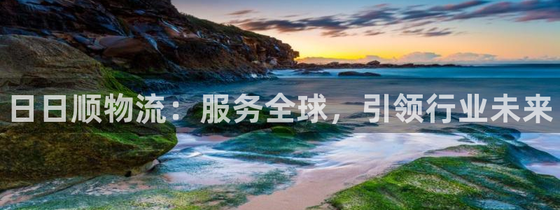 旺财28模拟器在线使用