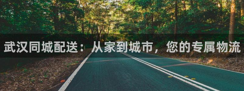 旺财28怎么注册账号：武汉同城配送：从家到城市，您的专属物流