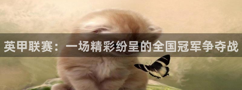 jrkan体育在线直播免费观看：英甲联赛：一场精彩纷呈的全国冠军争夺战